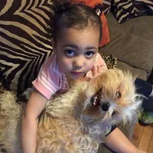 Meet your Posher, Joni